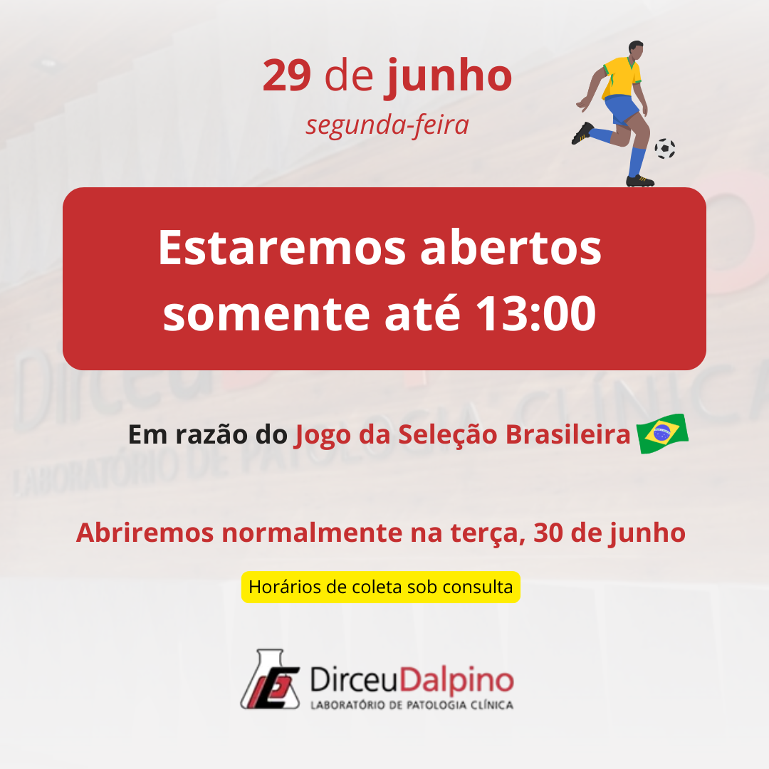 Copa do Mundo - 29 de junho - Jogo da Seleção